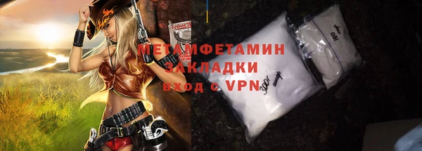 прущие грибы Аркадак