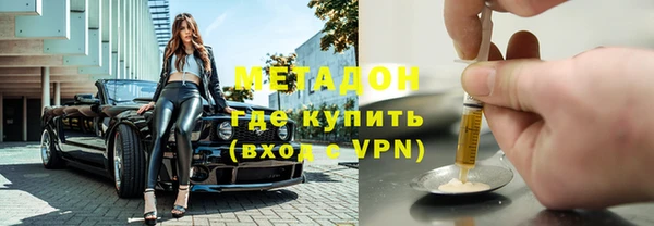 прущие грибы Аркадак