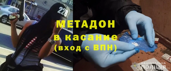прущие грибы Аркадак