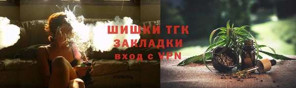 прущие грибы Аркадак
