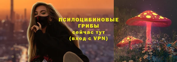 индика Армянск