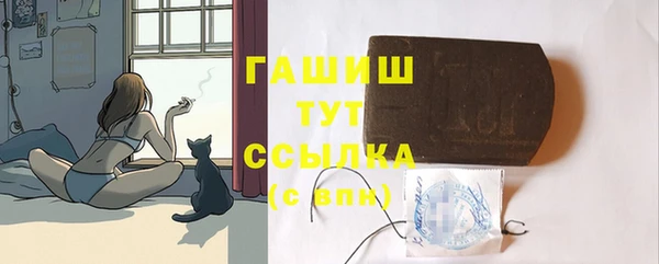 прущие грибы Аркадак