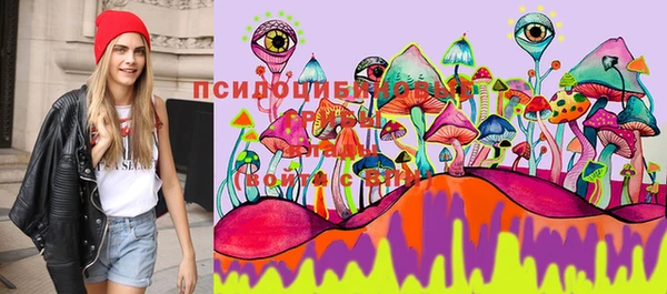 индика Армянск