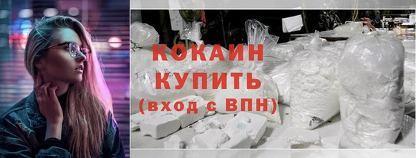 индика Армянск